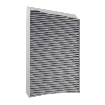 Cabin Air Filter RIDEX 424I0529P 424I0529P - photo 3