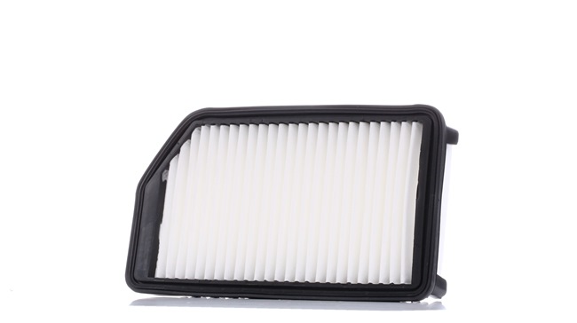 Air Filter RIDEX 8A0413 8A0413 - photo 1