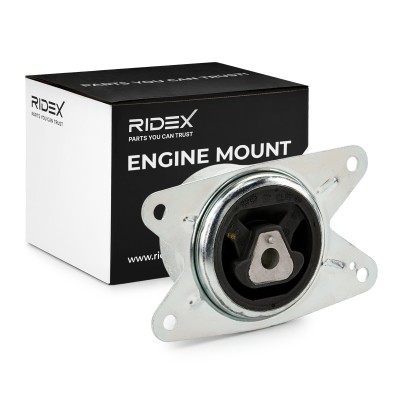 Engine Mounting RIDEX 247E1282 247E1282 - photo 2