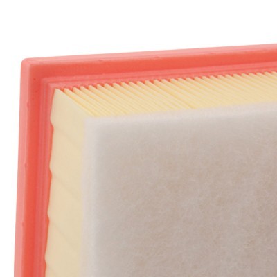 Air Filter RIDEX 8A0998 8A0998 - photo 4