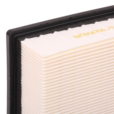 Air Filter RIDEX 8A0087 8A0087 - photo 5