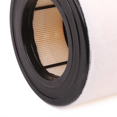 Air Filter RIDEX 8A0435 8A0435 - photo 6