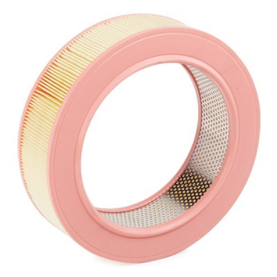 Air Filter RIDEX 8A0425 8A0425 - photo 4