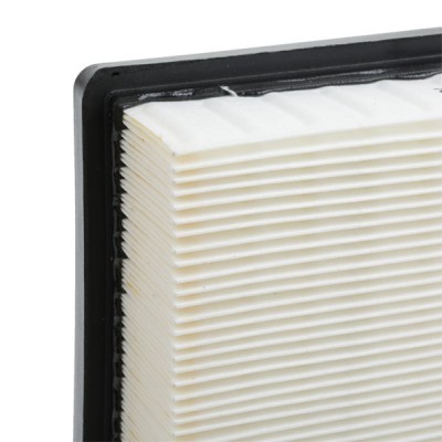 Air Filter RIDEX 8A0174 8A0174 - photo 6