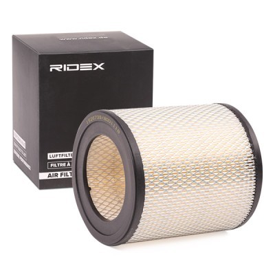 Air Filter RIDEX 8A0141 8A0141 - photo 2