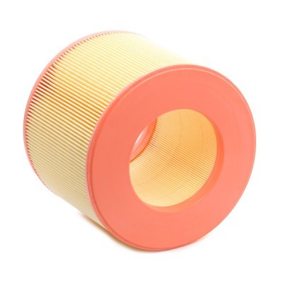 Air Filter RIDEX 8A0138 8A0138 - photo 4
