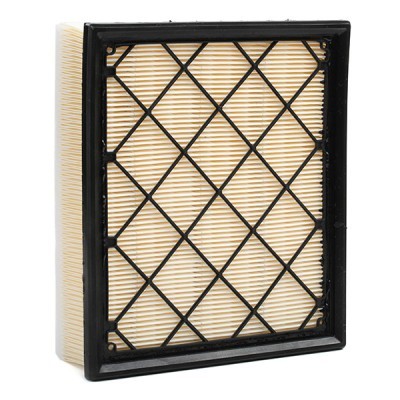 Air Filter RIDEX 8A0254 8A0254 - photo 3
