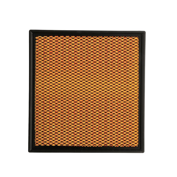 Air Filter RIDEX 8A0117P 8A0117P - photo 1