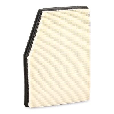 Air Filter RIDEX 8A0365 8A0365 - photo 4