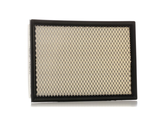 Air Filter RIDEX 8A0558 8A0558 - photo 1