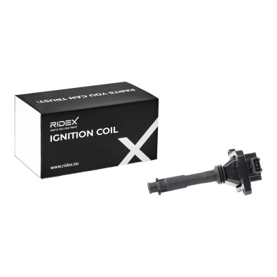 Ignition Coil RIDEX 689C0306 689C0306 - photo 6