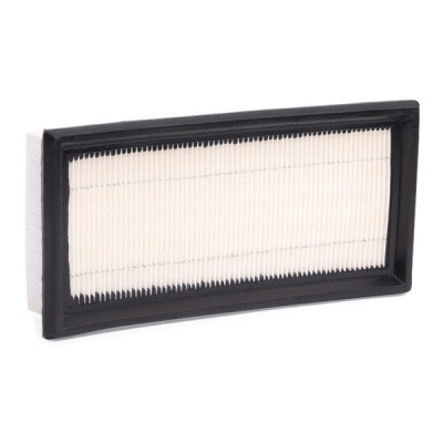 Air Filter RIDEX 8A0360 8A0360 - photo 3