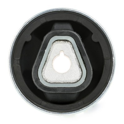 Control Arm Bushing RIDEX 251T0123 251T0123 - photo 4