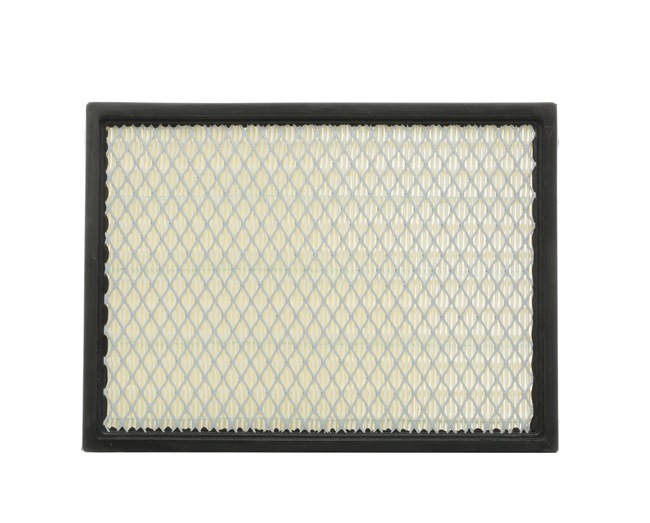 Air Filter RIDEX 8A0393 8A0393 - photo 1