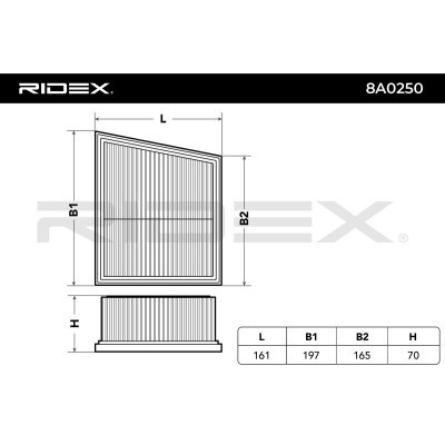 Air Filter RIDEX 8A0250 8A0250 - photo 4