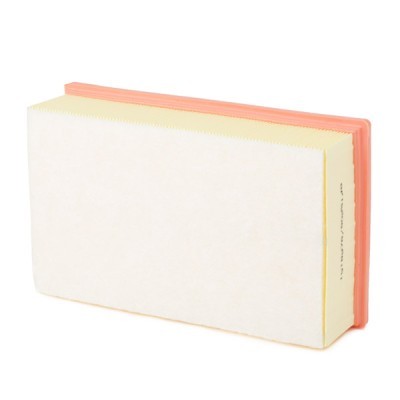 Air Filter RIDEX 8A0233 8A0233 - photo 6