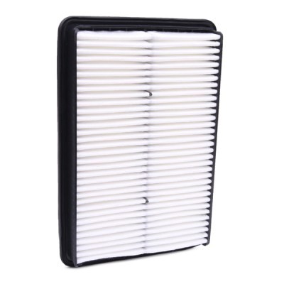 Air Filter RIDEX 8A0670 8A0670 - photo 3