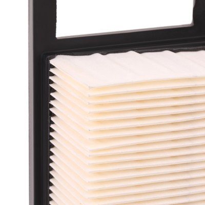 Air Filter RIDEX 8A0176 8A0176 - photo 6