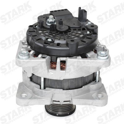 Alternator Stark SKGN-0320822 SKGN-0320822 - photo 5