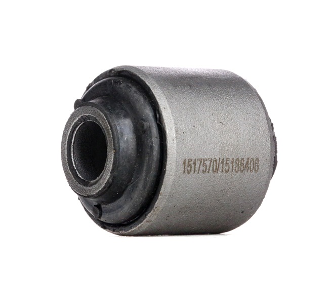 Control Arm Bushing RIDEX 251T0619 251T0619 - photo 1