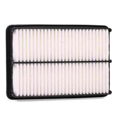 Air Filter RIDEX 8A0053 8A0053 - photo 4