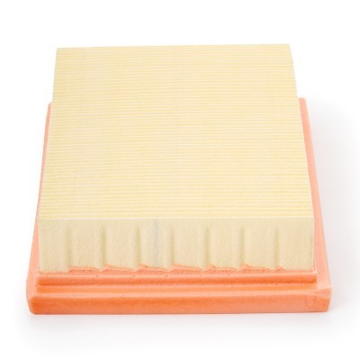 Air Filter RIDEX 8A0462P 8A0462P - photo 5