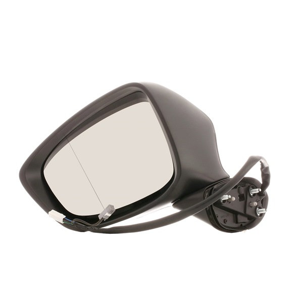 Wing Mirror RIDEX 50O0743 50O0743 - photo 1