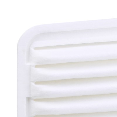 Air Filter RIDEX 8A0106 8A0106 - photo 6