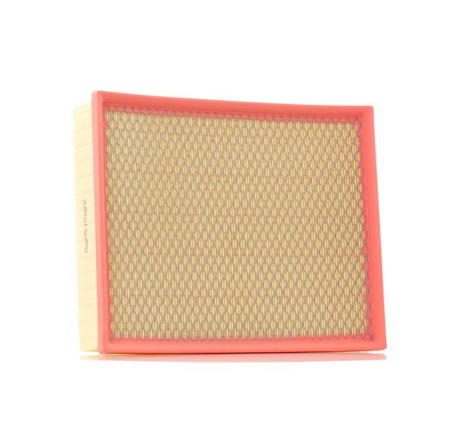 Air Filter RIDEX 8A0666 8A0666 - photo 1