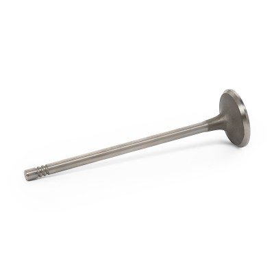 Intake Valve RIDEX 1269I0016 1269I0016 - photo 3