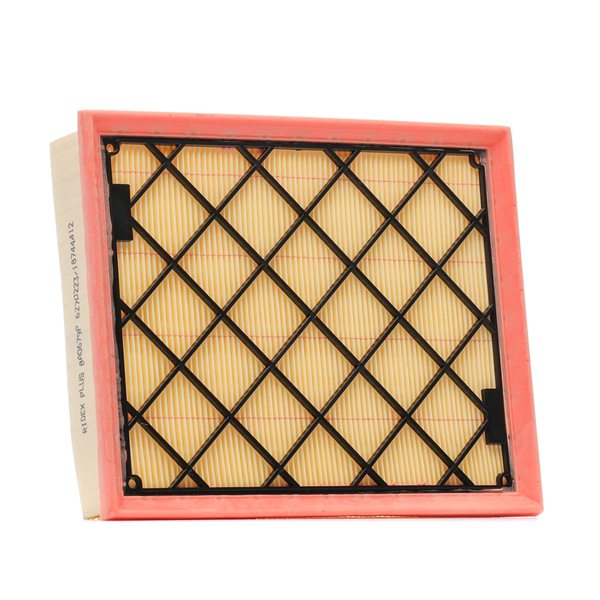 Air Filter RIDEX 8A0679P 8A0679P - photo 1