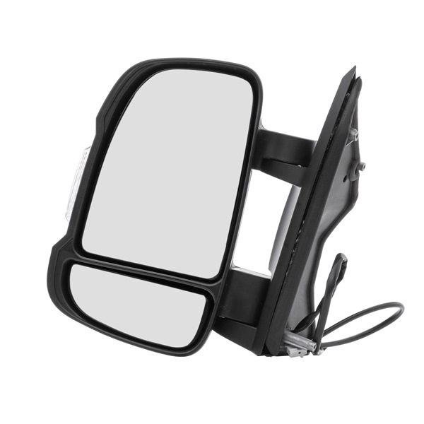 Wing Mirror RIDEX 50O0199 50O0199 - photo 1