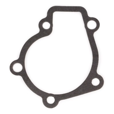 Water Pump, Engine Cooling RIDEX 1260W0084 1260W0084 - photo 5