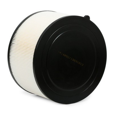 Air Filter RIDEX 8A0589 8A0589 - photo 4