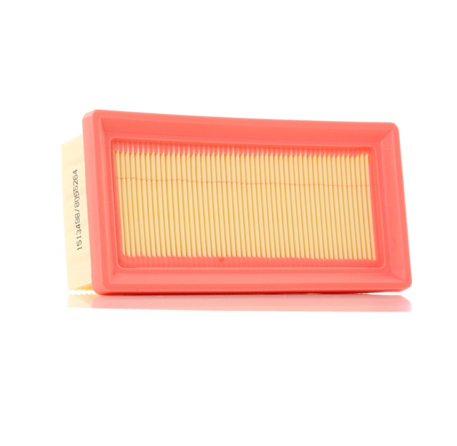 Air Filter RIDEX 8A0304 8A0304 - photo 1