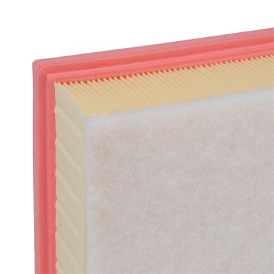 Air Filter RIDEX 8A0251 8A0251 - photo 5