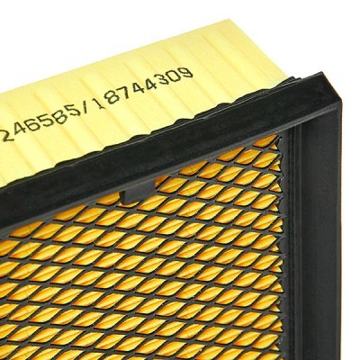 Air Filter RIDEX 8A0169P 8A0169P - photo 5
