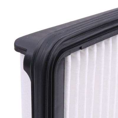 Air Filter RIDEX 8A0670 8A0670 - photo 4