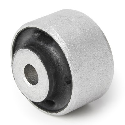 Control Arm Bushing RIDEX 251T0018P 251T0018P - photo 3