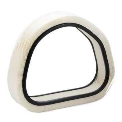 Air Filter RIDEX 8A0330 8A0330 - photo 4