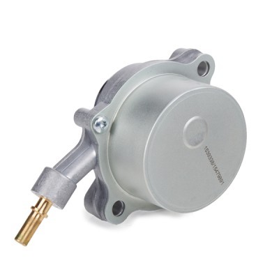 Vacuum Pump RIDEX 387V0041 387V0041 - photo 4