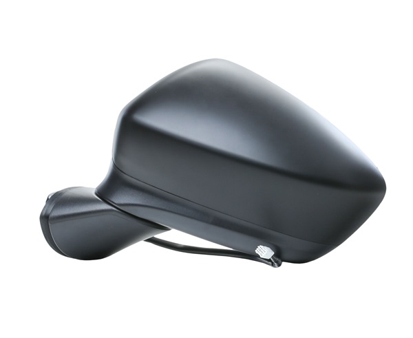 Wing Mirror RIDEX 50O0894 50O0894 - photo 1