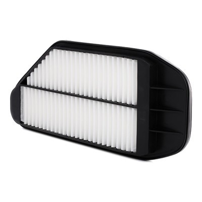 Air Filter RIDEX 8A0295 8A0295 - photo 4