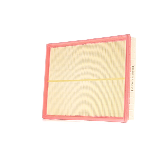 Air Filter RIDEX 8A0647 8A0647 - photo 1