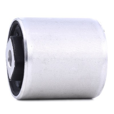 Control Arm Bushing RIDEX 251T0226 251T0226 - photo 3
