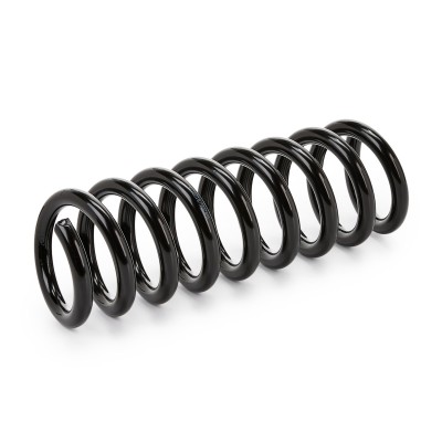 Suspension Spring RIDEX 188C0112 188C0112 - photo 5