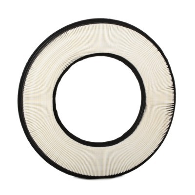 Air Filter RIDEX 8A0498 8A0498 - photo 4
