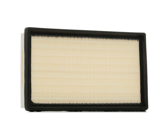 Air Filter RIDEX 8A0125 8A0125 - photo 1