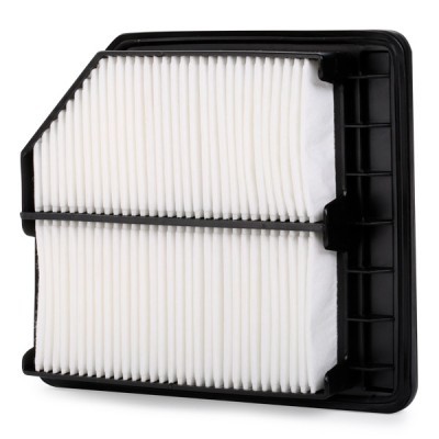 Air Filter RIDEX 8A0143 8A0143 - photo 4