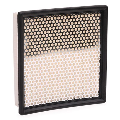 Air Filter RIDEX 8A0209 8A0209 - photo 4